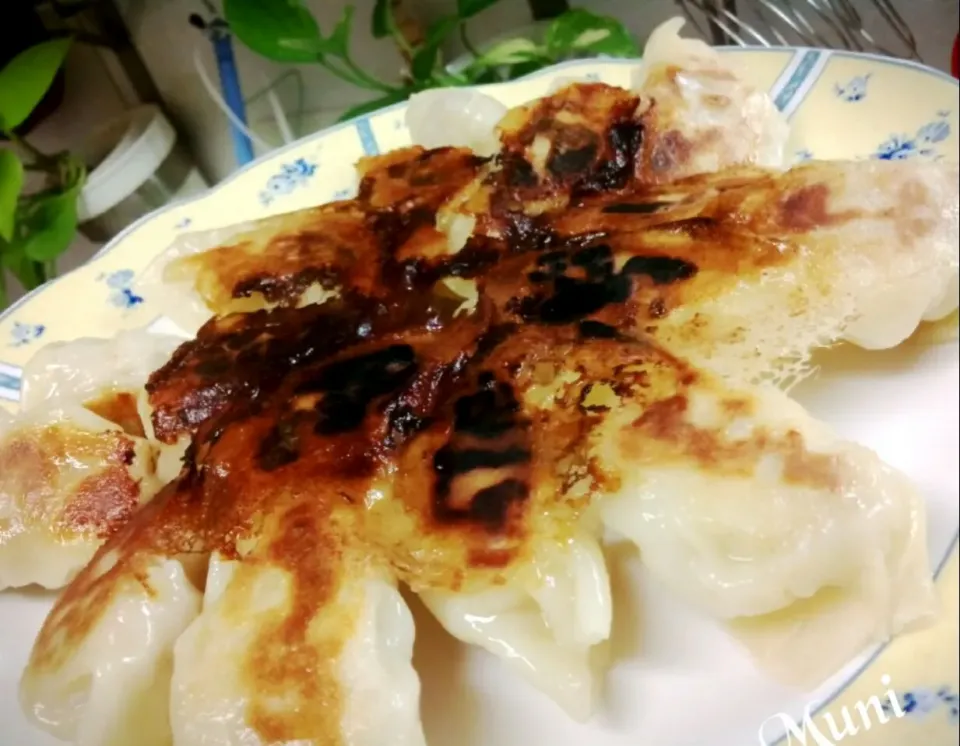 手作り餃子の皮で焼き餃子♪|key♪さん