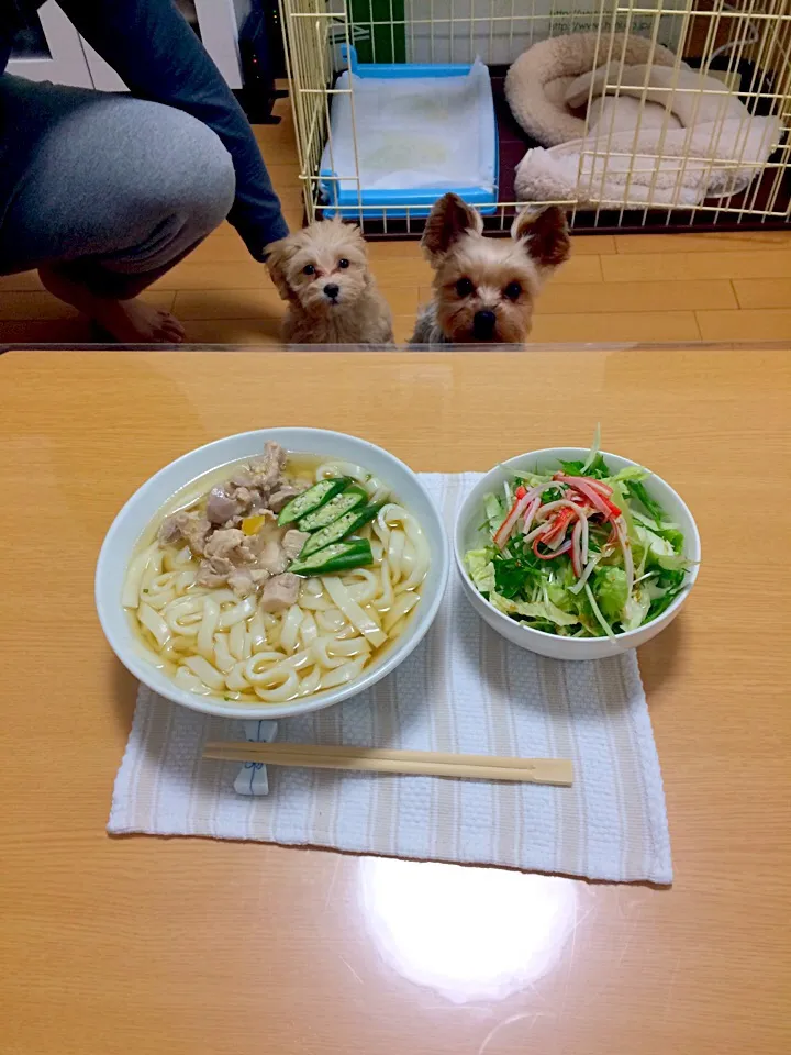 ☆ レモン塩漬け鶏きしめん|Fuyumi Nakanoさん