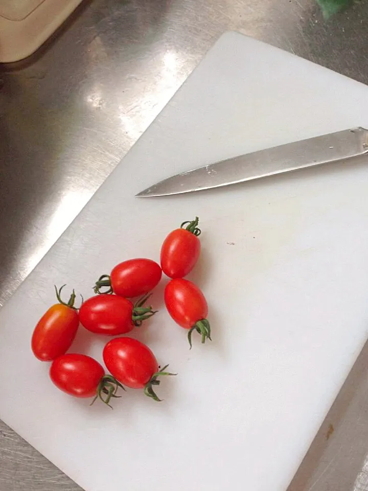 Snapdishの料理写真:Fresh tomatos|Clara Bernardiniさん