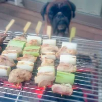 Snapdishの料理写真:自宅で焼き鳥|tosshiさん