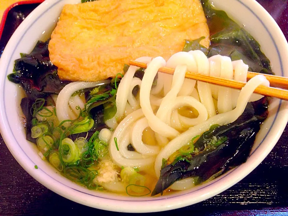 札幌 寺屋 うどん|pipioujiさん