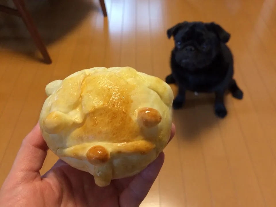 Snapdishの料理写真:パグパン😍|トムさん