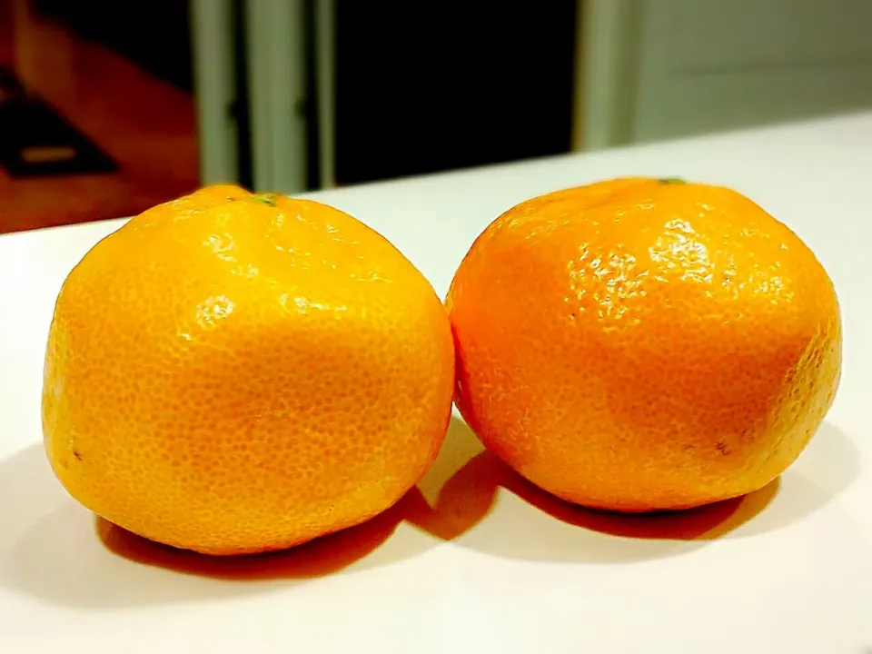 korean mandarin oranges...|princessjoさん