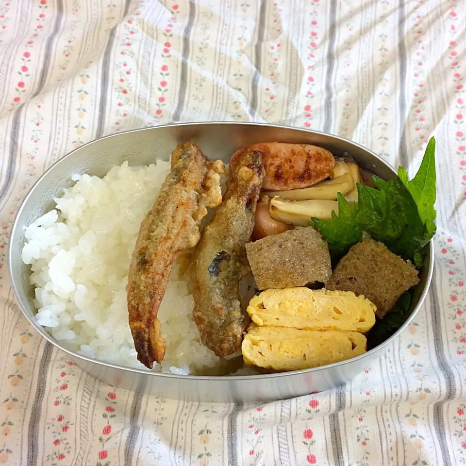 お弁当2日4日|tomokoさん