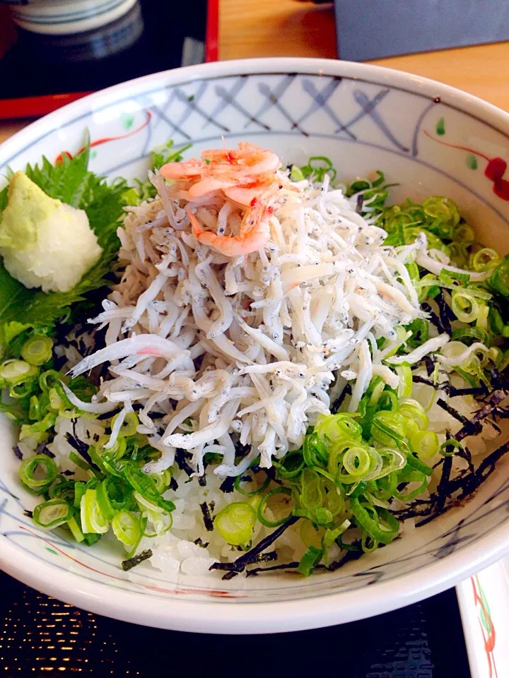 しらす丼|シナミルさん