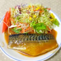 Snapdishの料理写真:鯖の味噌煮|セイジさん