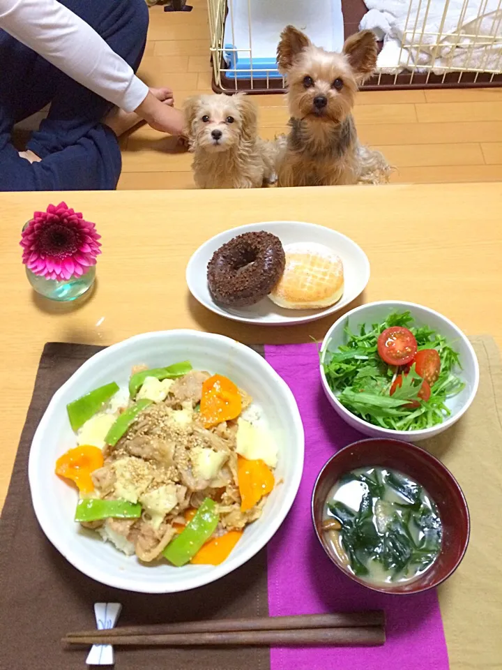 ☆ チーズ焼肉丼|Fuyumi Nakanoさん