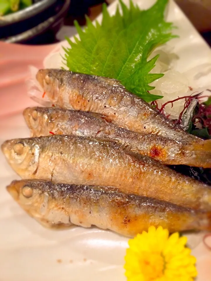 岡山といえば！！ままかりの酢の物|さらば広島の長きまつげ(東京なう)さん