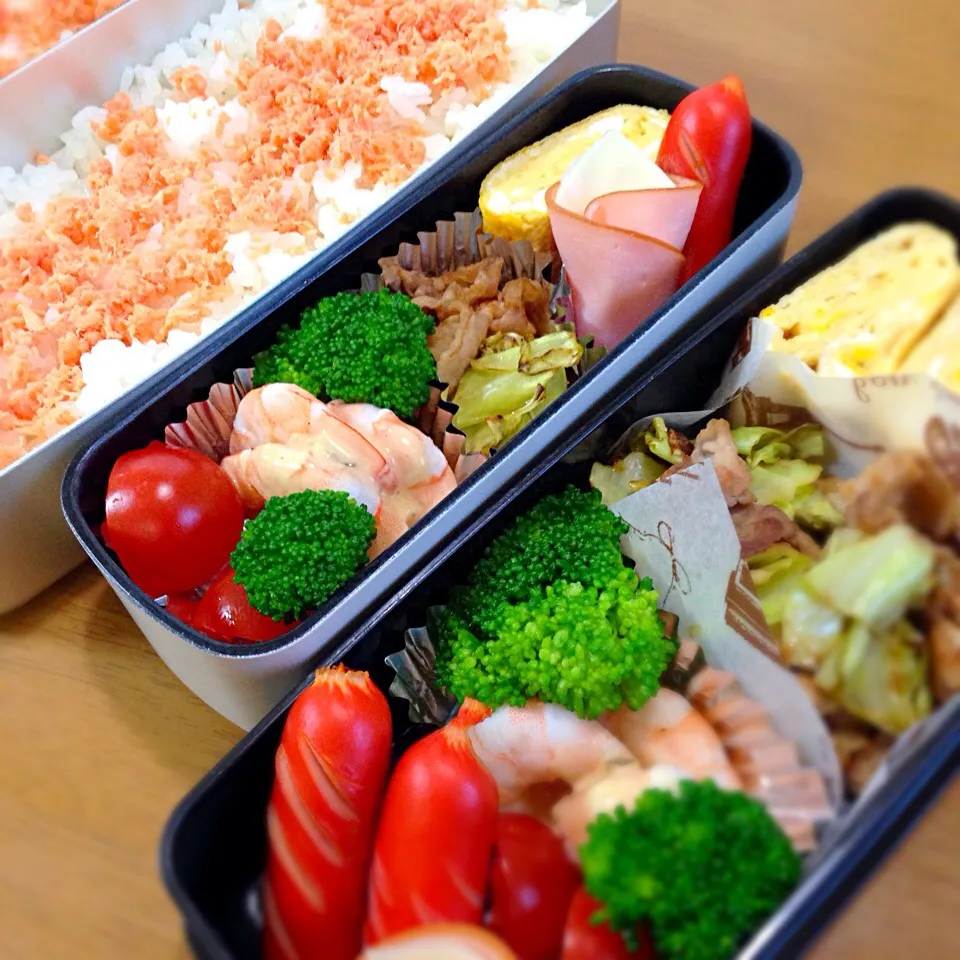 Snapdishの料理写真:お弁当2.6|きたろうさん