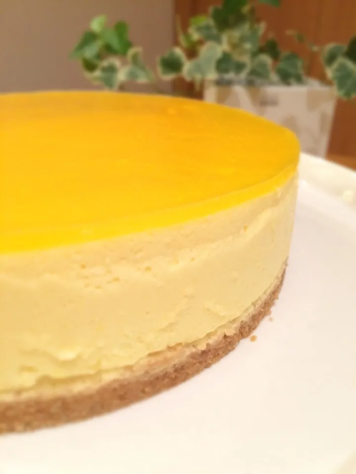 Mango cheese cake|Chiho Yamamotoさん