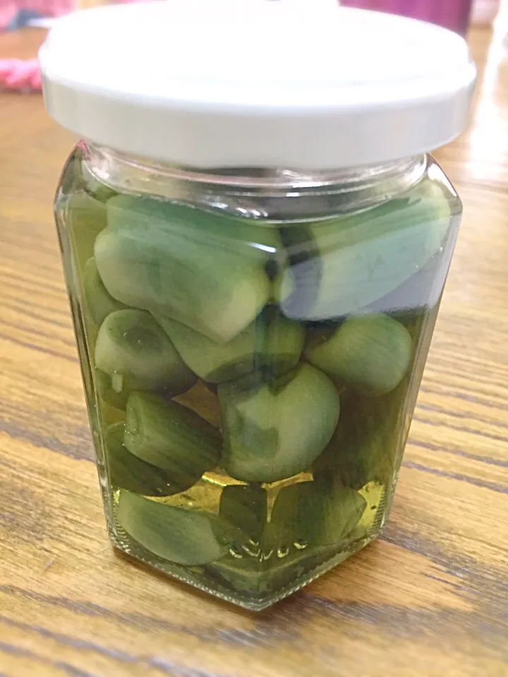 ニンニク酢|Atsuko Takahashiさん