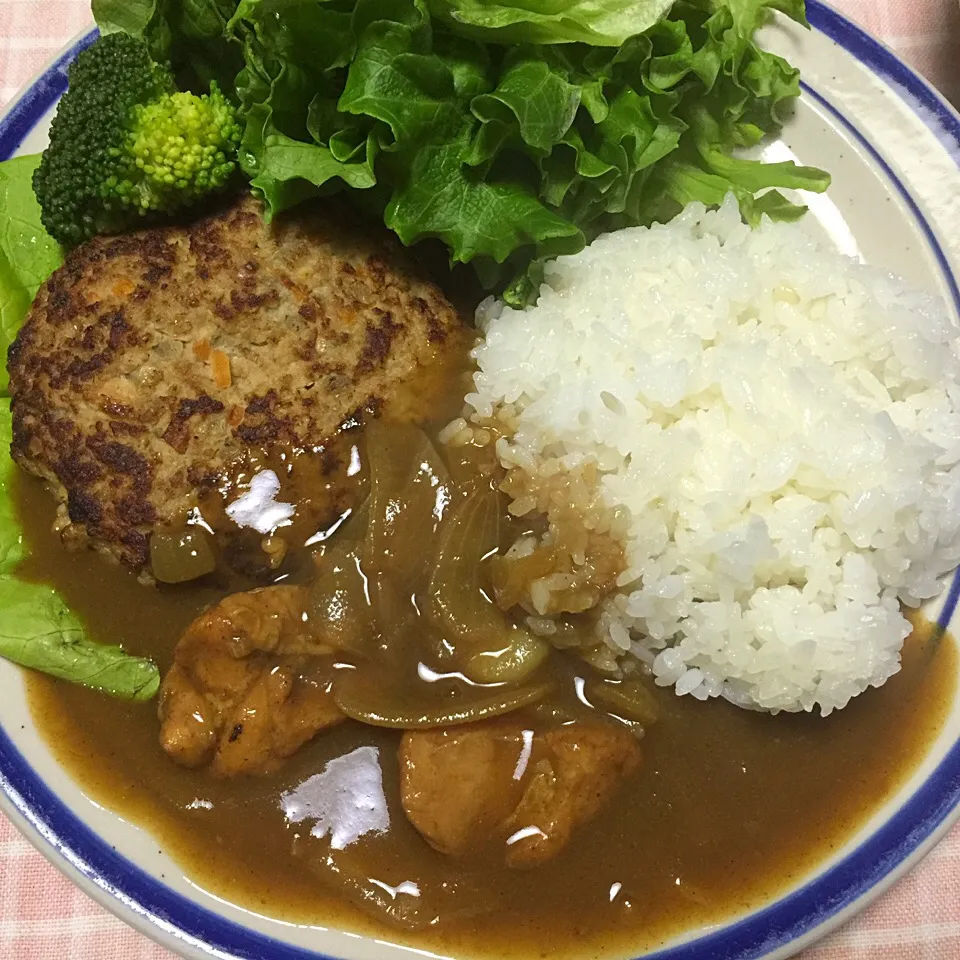 Snapdishの料理写真:ハンバーグカレー|johnlovin0628さん