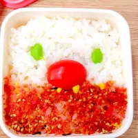 Snapdishの料理写真:お弁当|koshieriさん