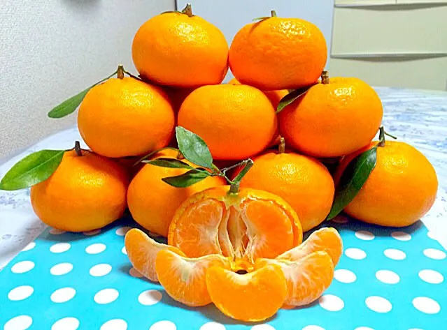 Snapdishの料理写真:みかん - Mikan oranges😋✨|Liezlさん