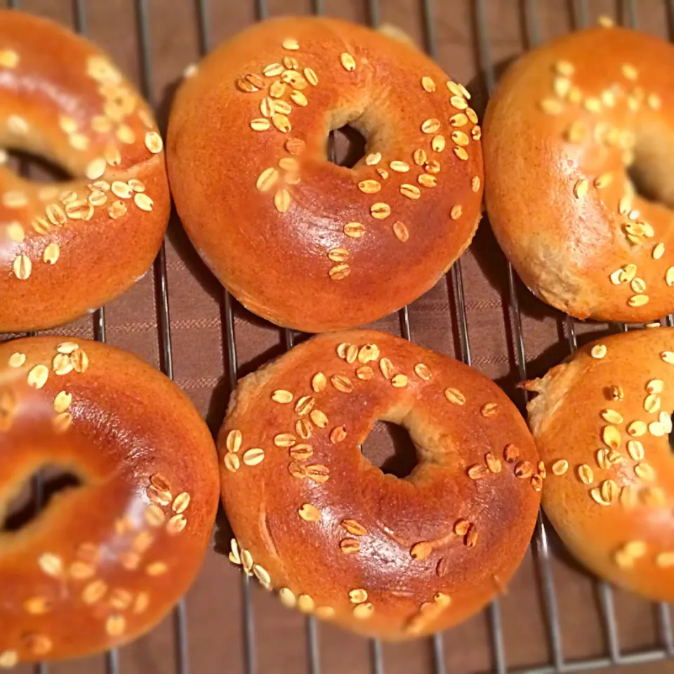 Whole wheat bagels!!|emi tanakaさん