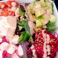 Multi Coloured Salad with Tahini Dressing|cさん