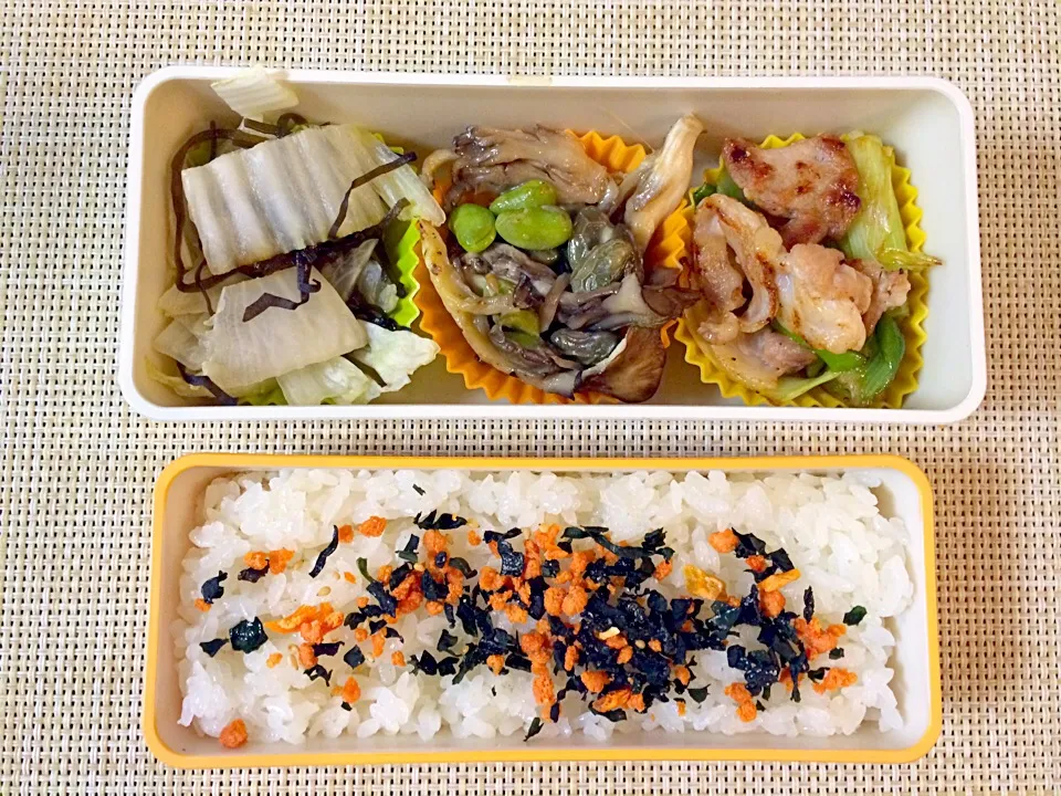 Snapdishの料理写真:本日のお弁当|satchさん