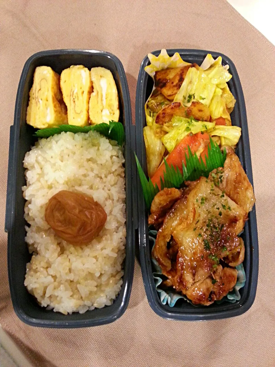 Snapdishの料理写真:豚の生姜焼きのお弁当|nanoさん