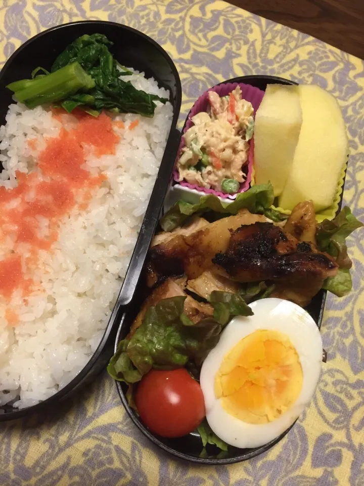 0210 今日のパパお弁当|江口亜梨子さん