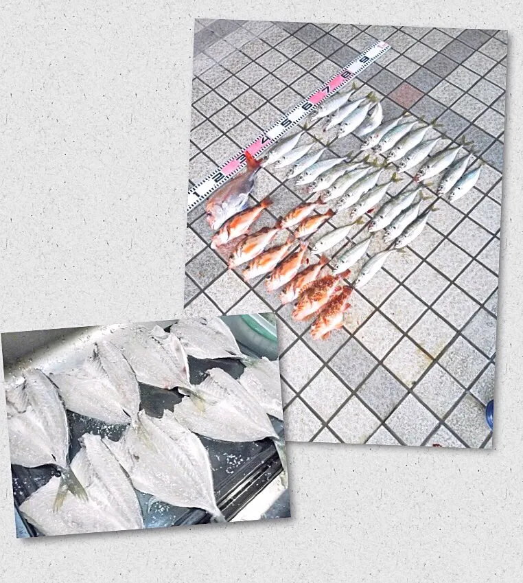 Snapdishの料理写真:Fishing trip... Dried salted aji.. Horse mackerel|Nigel Nakadaさん