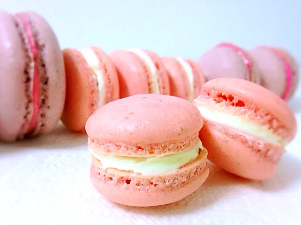 Raspberry French Macarons|Mich Liowさん