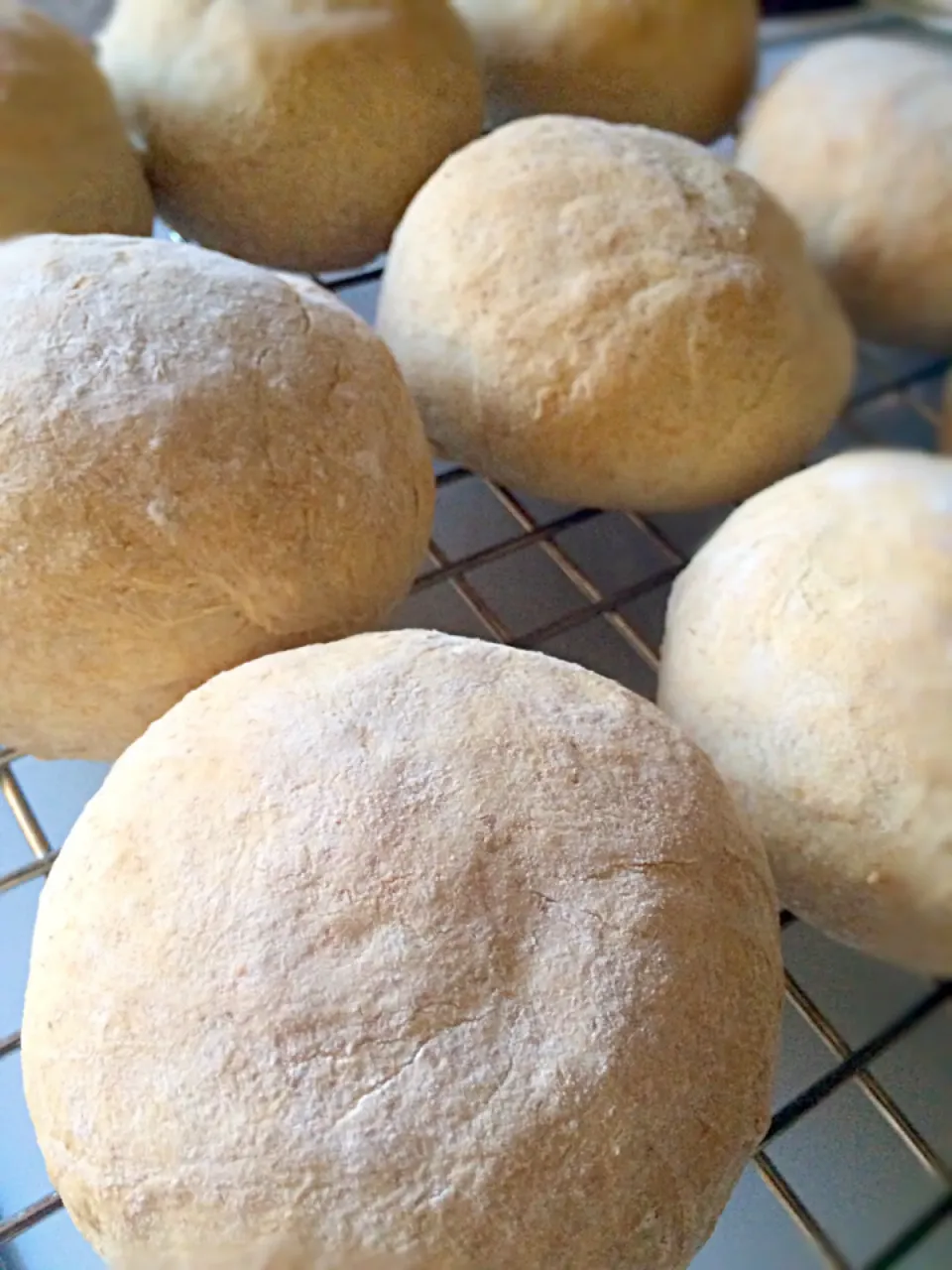 Snapdishの料理写真:Dinner rolls with butter milk dough|mamakumiさん