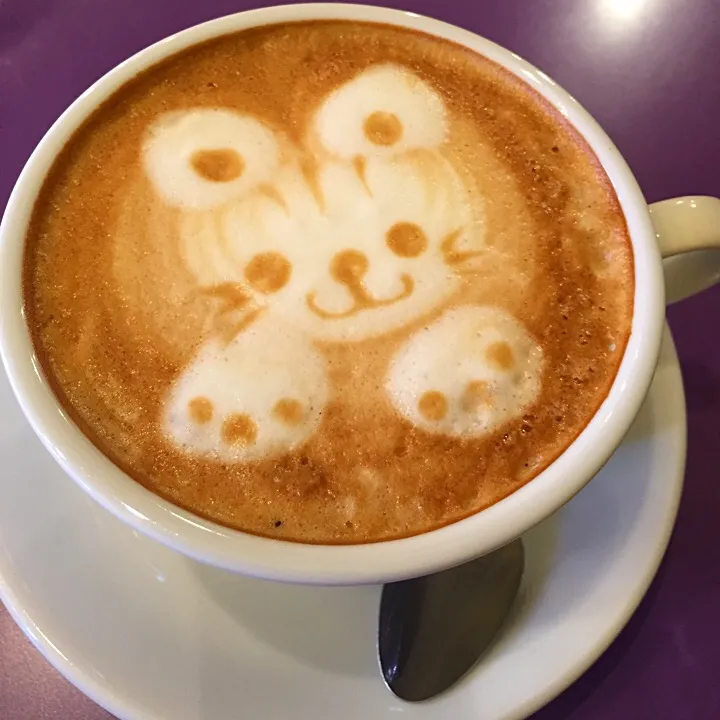 カプチーノねこ|めぎゅさん