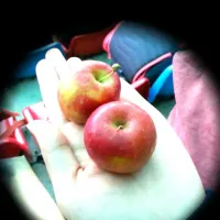 tiny apples! so cute and sweet:)|Cheesymeさん