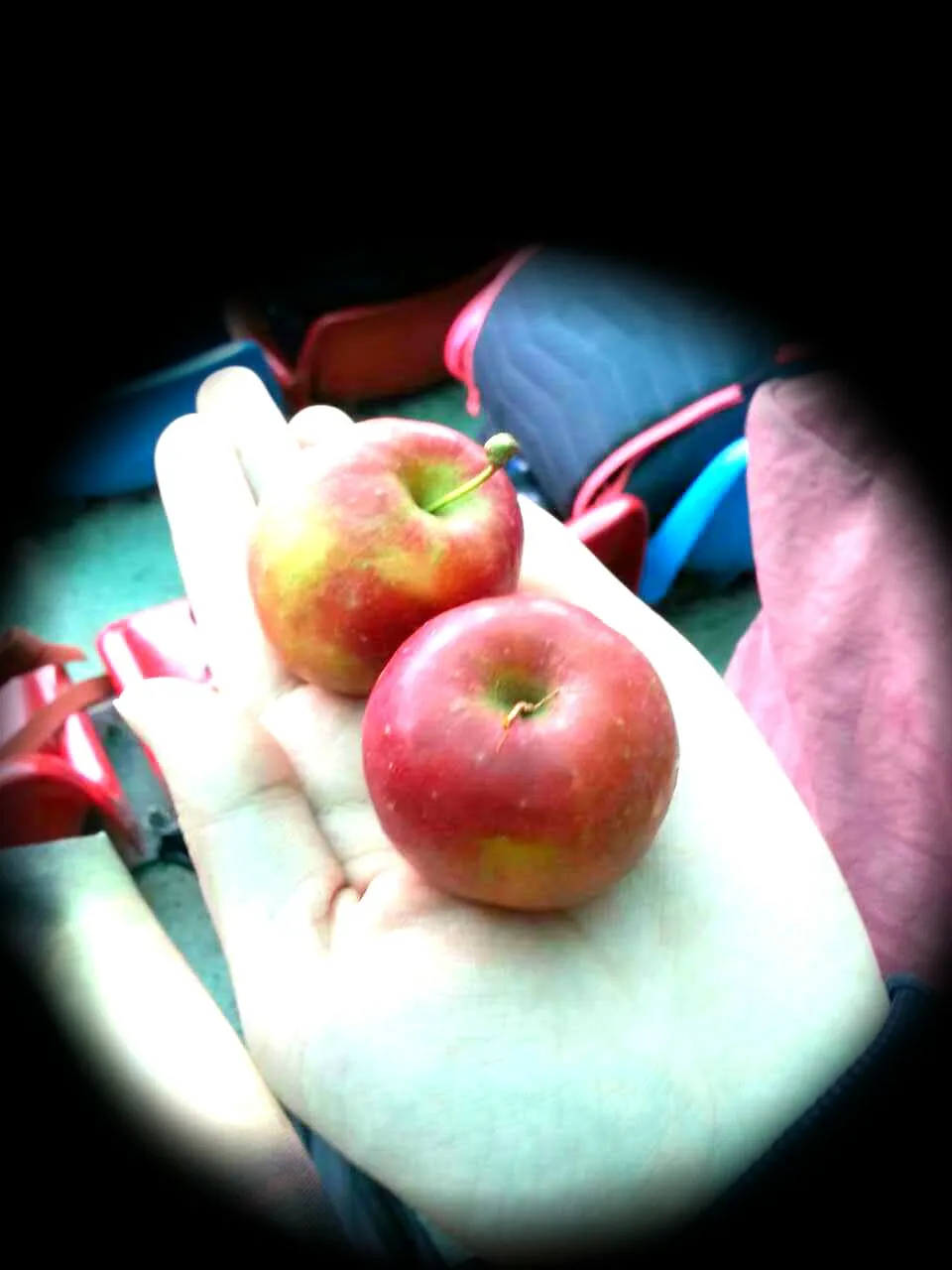 tiny apples! so cute and sweet:)|Cheesymeさん