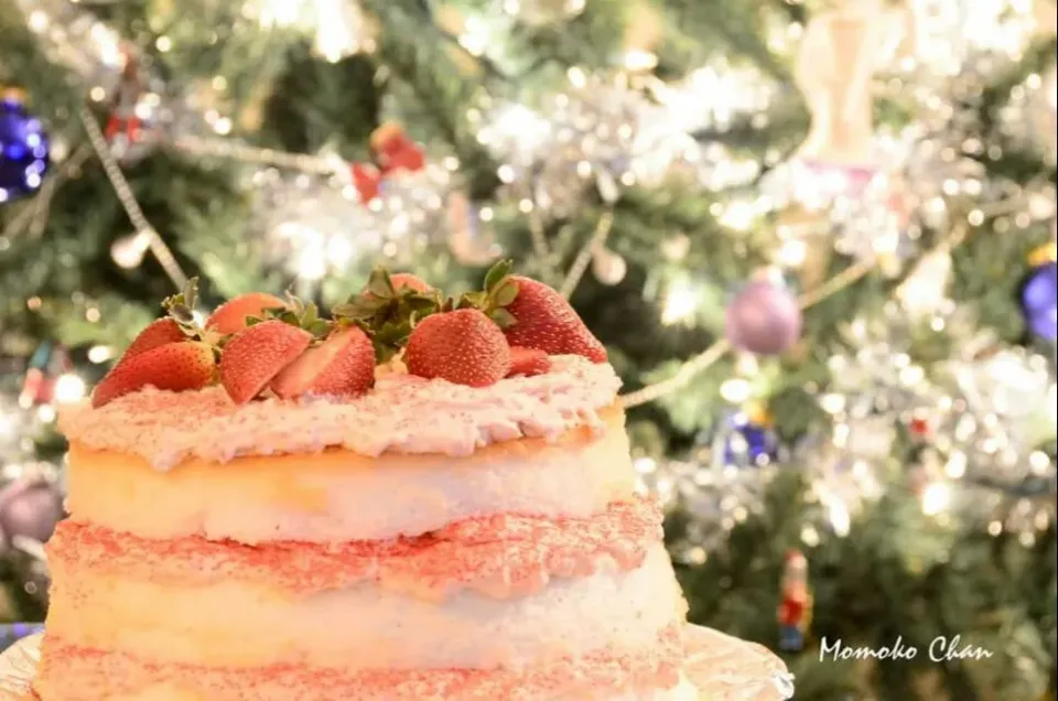 Angel Lush Cake|Momoko Chanさん