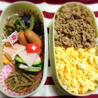 Snapdishの料理写真:お弁当|aikoさん