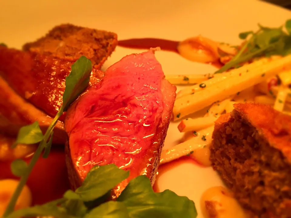 Breast of duck, croquette, crispy Apple salad|Michael Kohlさん