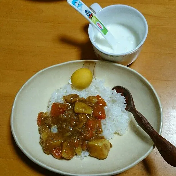 ぼっちゃんの朝食☕😃🌄
朝カレー🍛|ふみぃさん