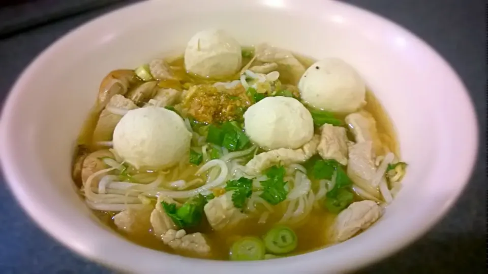 Snapdishの料理写真:Thai pork noodle soup (Kuay tiew moo)|Jiraphon Gさん