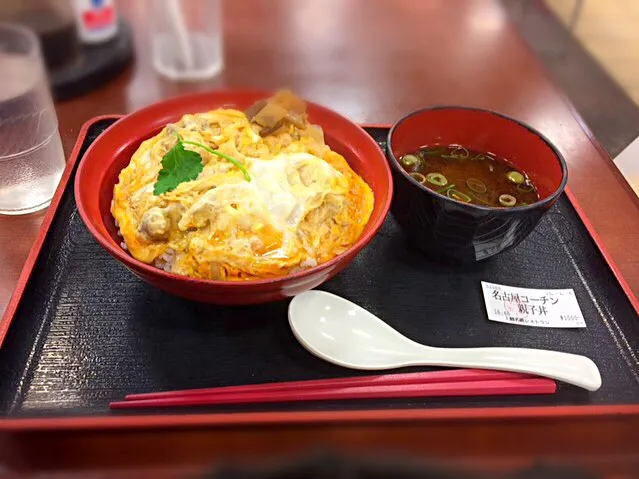 Snapdishの料理写真:名古屋コーチン親子丼|かぁさん