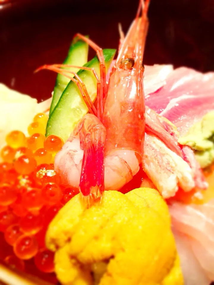 Mix Seafood Sushi with Gold Paper|Sam: photos by iPhoneさん