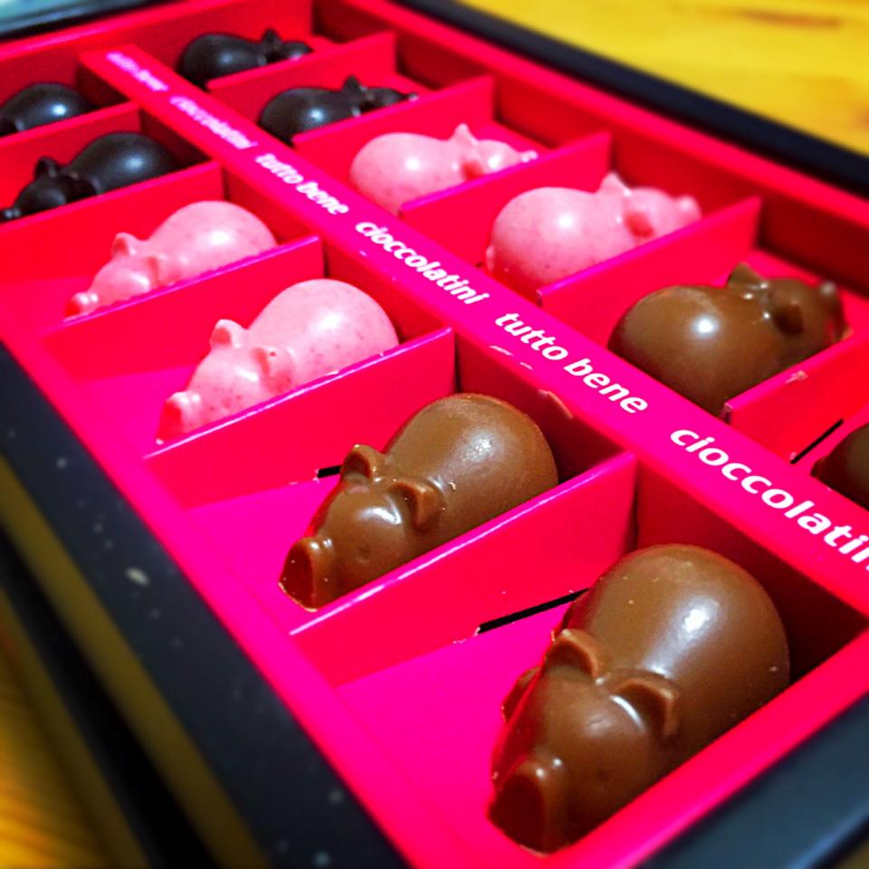 幸せを運ぶ豚バレンタインチョコ Shu Snapdish スナップディッシュ Id Xhq9ja