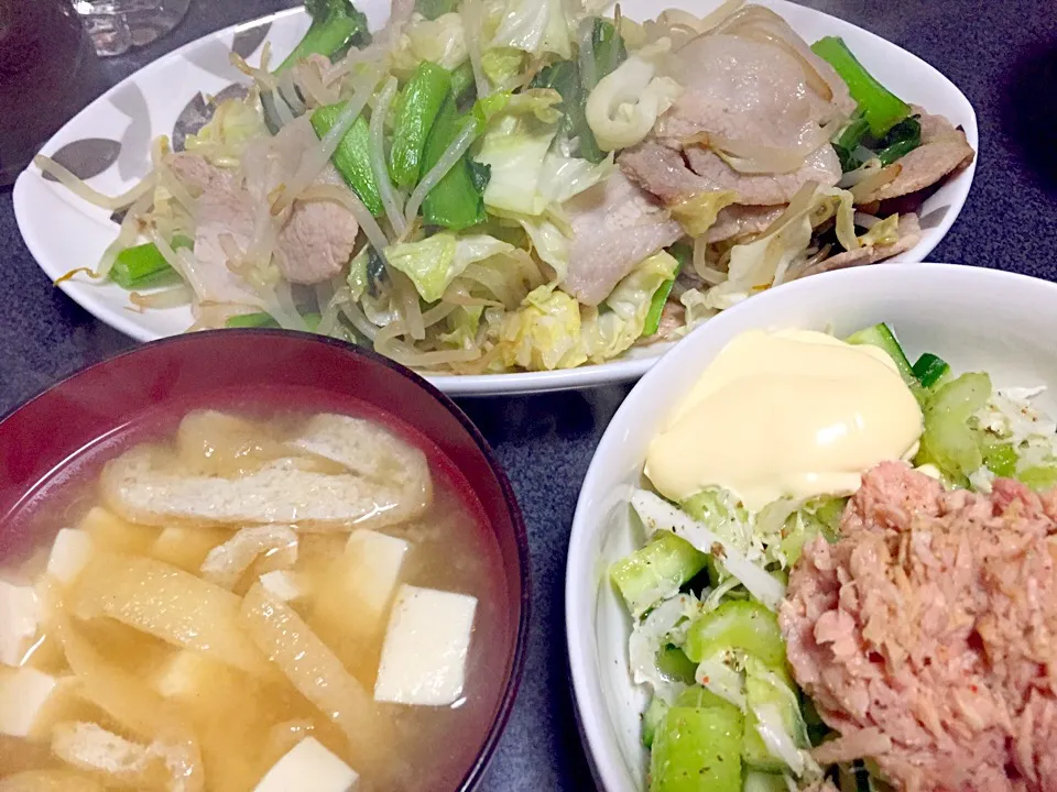 肉野菜炒め、白米、ツナサラダ、豆腐油揚げ味噌汁|ms903さん