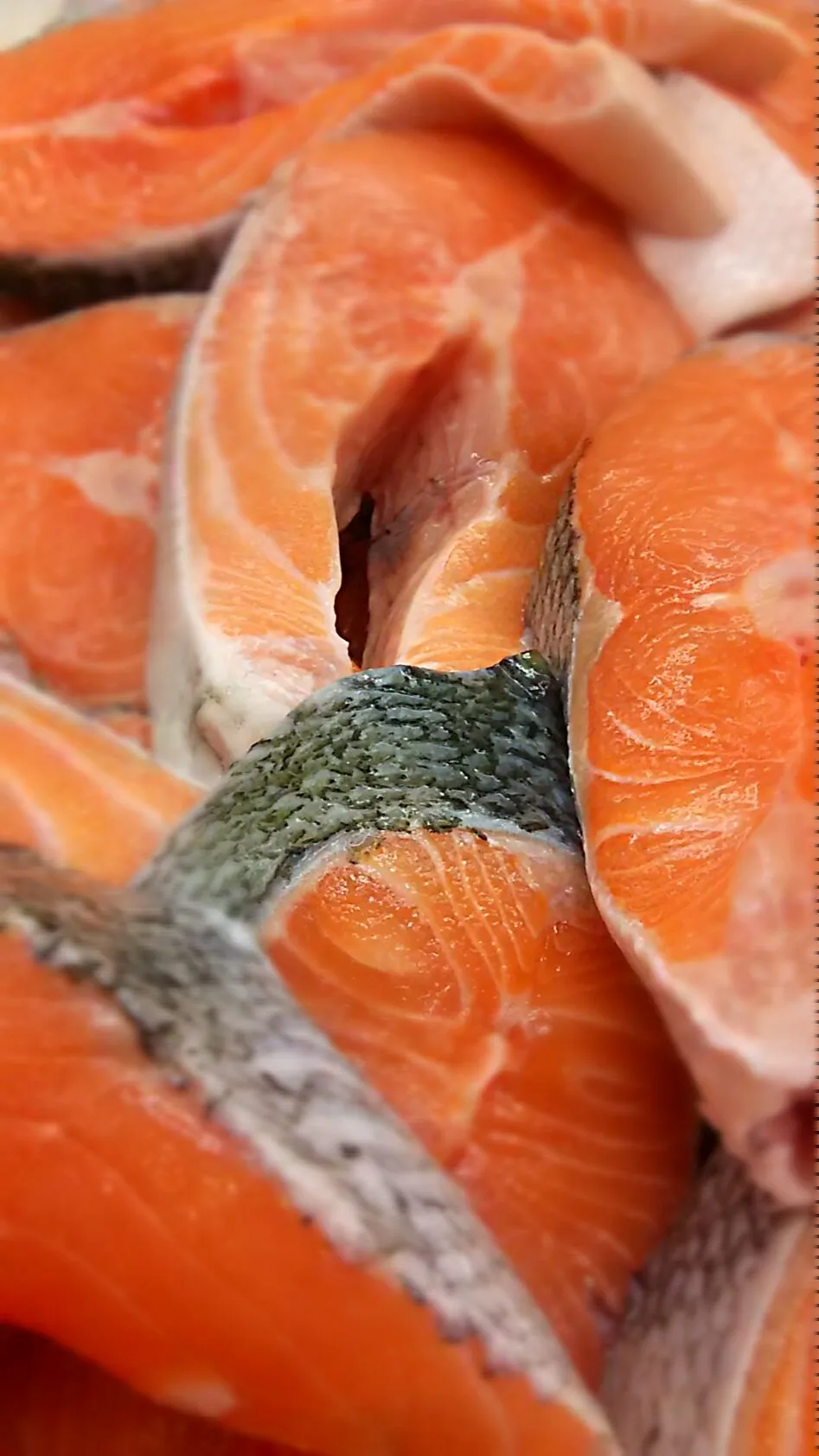 Fresh Salmon Steaks, ready to be grilled.|Rory Kingさん