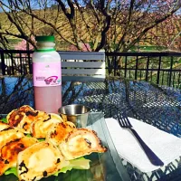 Organic Chicken Potstickers and Plum Juice @ Mt. Olive Farm in Paso Robles|Natsuko Bayさん