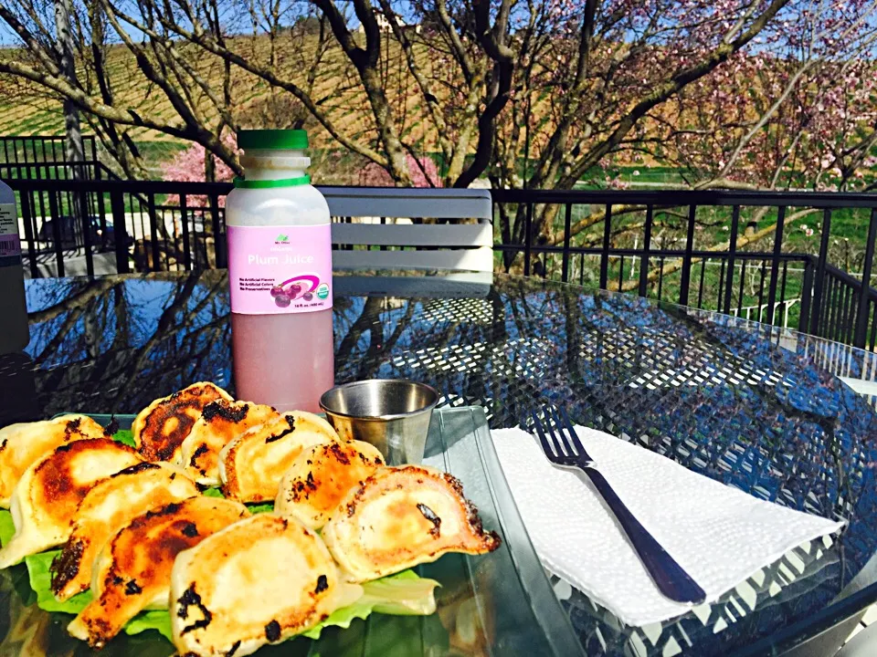 Organic Chicken Potstickers and Plum Juice @ Mt. Olive Farm in Paso Robles|Natsuko Bayさん