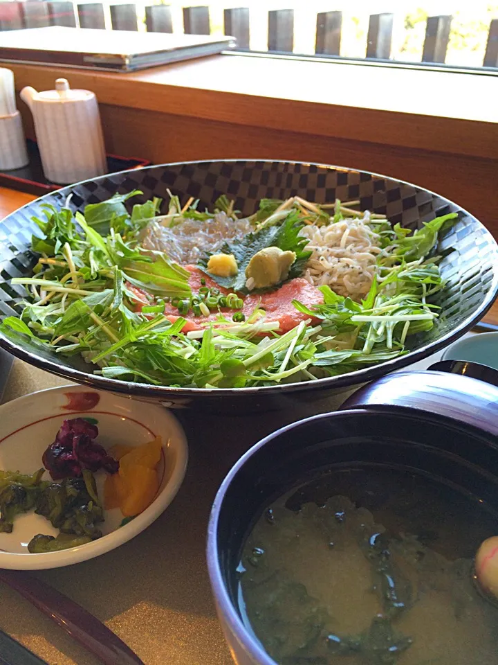 Snapdishの料理写真:生しらすネギトロ丼|くぽさん