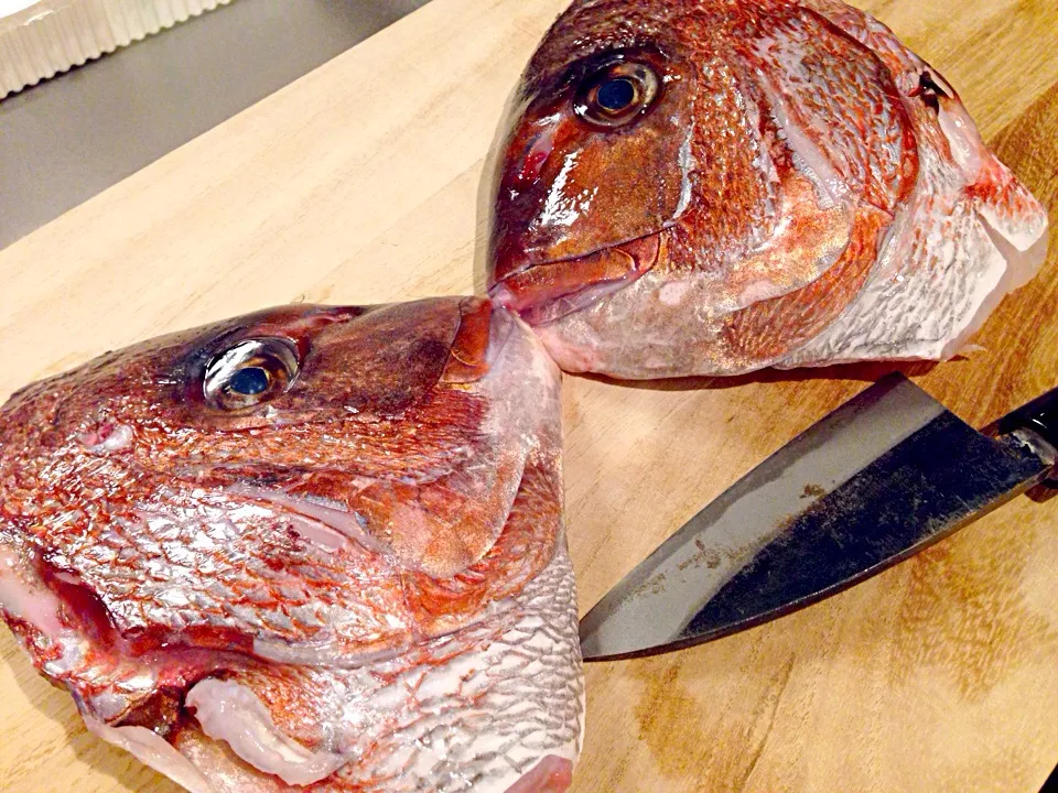 さ！今日は！|latteさん