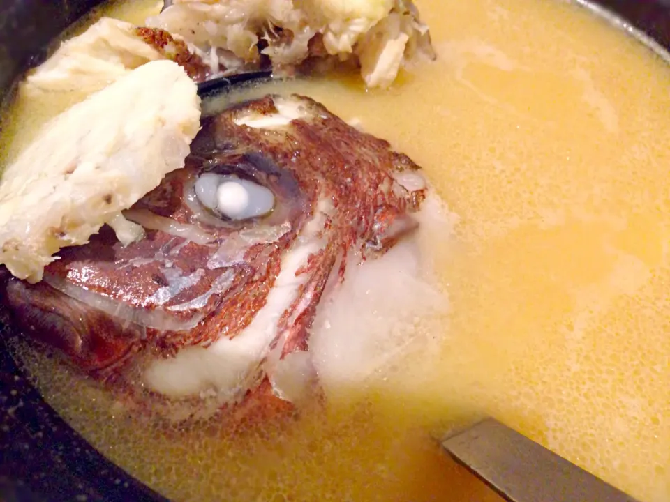 きたよきたよきたよ〜|latteさん