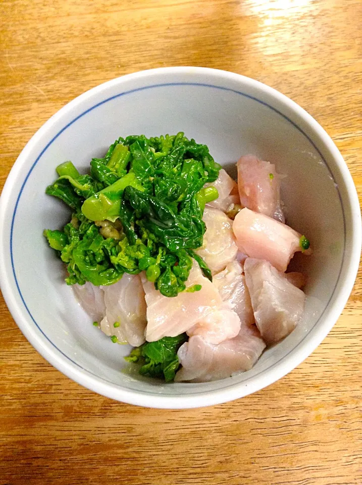 鰆と菜花の和え物。鰆を水洗い、塩洗い、レモン汁洗いして菜花と合わせました。妻作。水産庁のおじさん推薦だそうだ。|Hiromichi  Inudukaさん