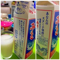 奄美大島の乳酸菌？