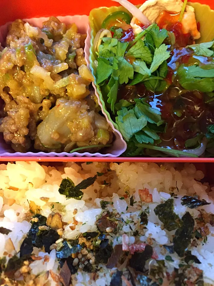 Snapdishの料理写真:本日のお弁当|Nao K. Tさん