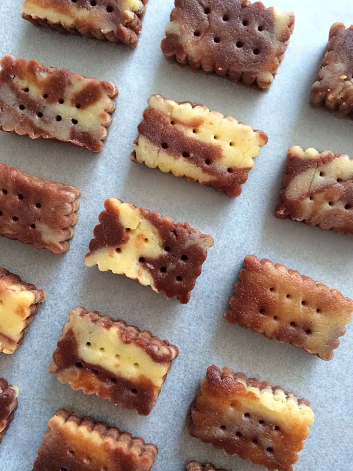 Vanilla and chocolate butter cookies - ready for the oven|12Dragonさん