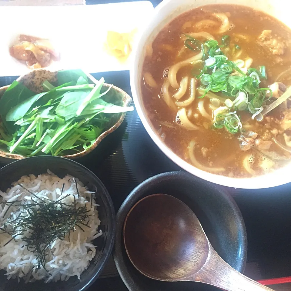 Snapdishの料理写真:牛スジカレーうどん大盛りとしらすご飯|yさん