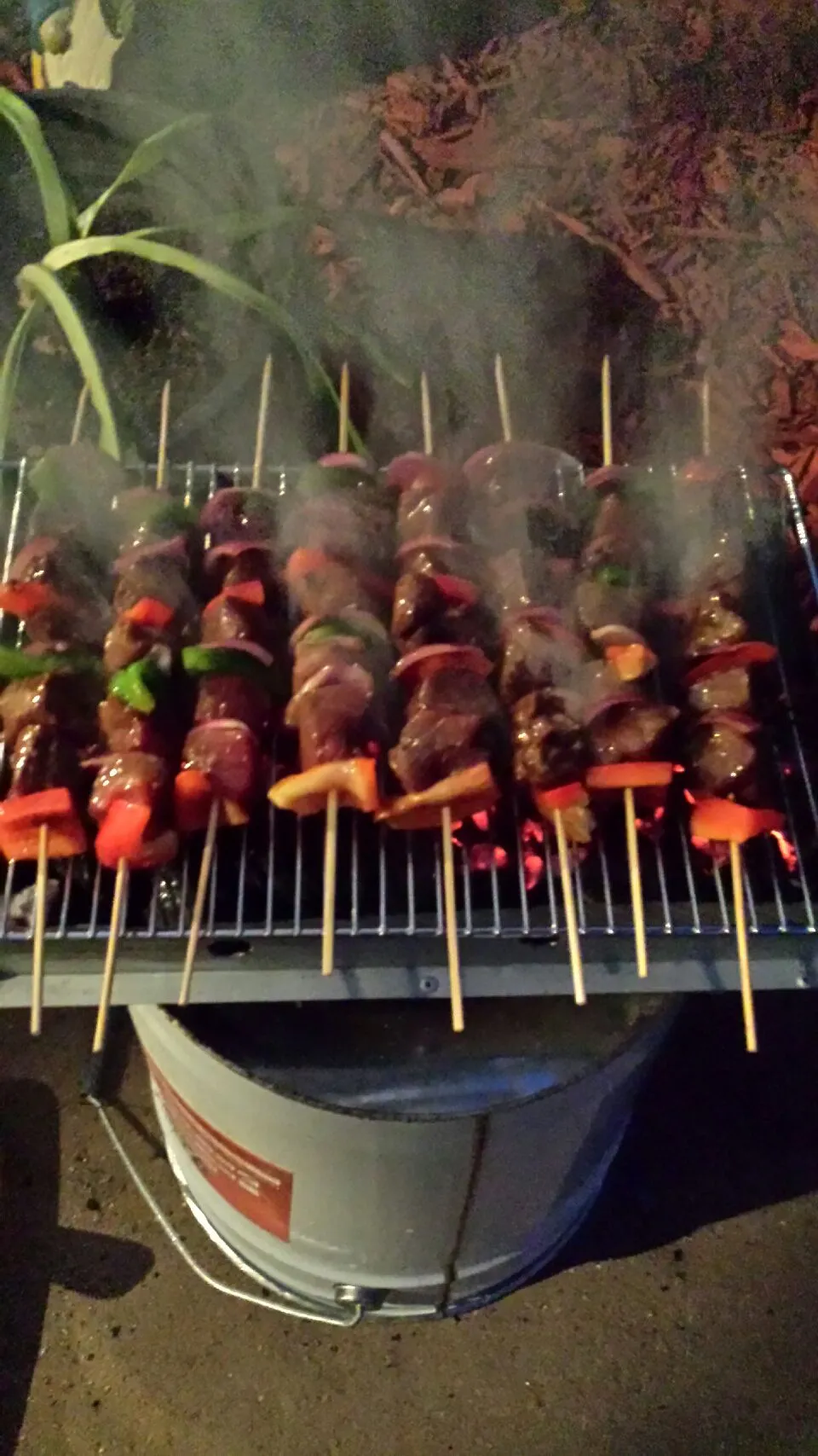 Snapdishの料理写真:marinated kebabs|bradさん